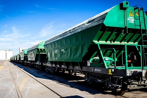 Imatge d'un dels trens de mercaderies que ha entrat i sortit del Port de Tarragona durant el 2023